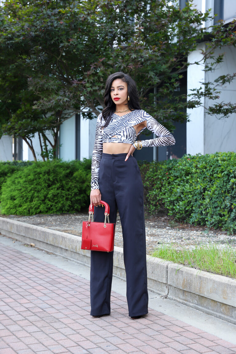 Seeing Prints: Zebra Prints For Fall Transition